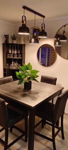 a dining room table with a potted plant on it at Elegancia, seguridad y confort in Coquimbo