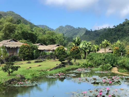 a river filled with lots of plants and flowers at Bakhan Village Resort in Mai Chau