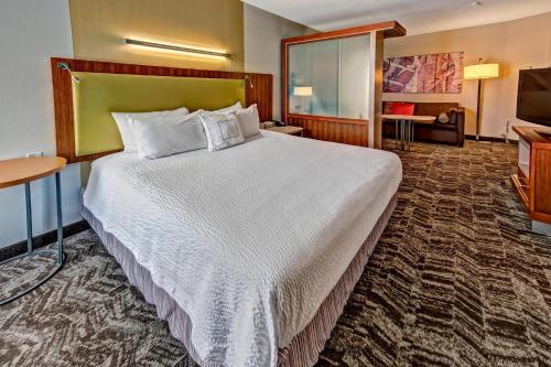 a hotel room with a large bed and a television at SpringHill Suites by Marriott Oklahoma City Moore in Moore