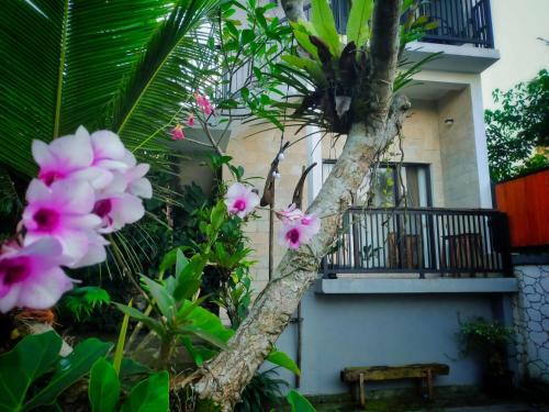 AUREIRIN Guesthouseにある庭