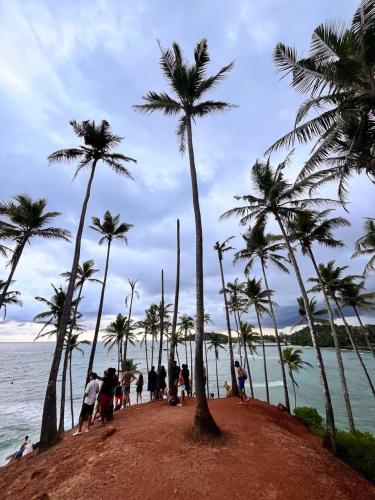 a group of people standing on a beach with palm trees at Santino Mirissa in Mirissa