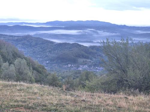 Φυσικό τοπίο κοντά σε αυτό το σαλέ