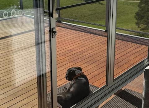 a black dog sitting on a balcony looking out the window at 4 Scenic Court in Mallacoota