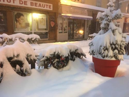a snow covered tree in front of a building at Hôtel Restaurant de la Chaussée in Briançon