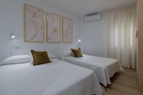 Apartamento Conde y Luque