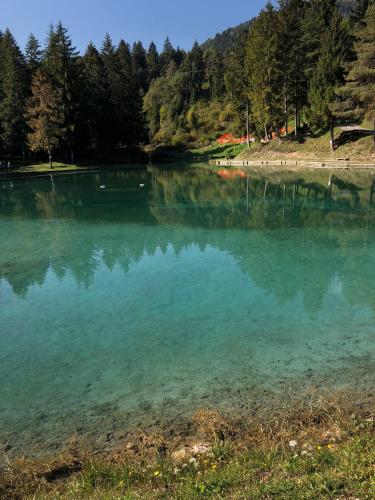 Φυσικό τοπίο κοντά σε αυτό το διαμέρισμα