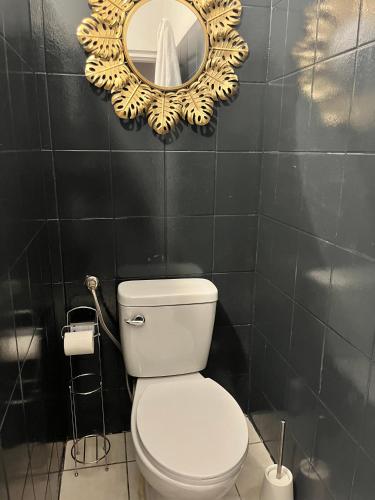 a bathroom with a toilet and a mirror on the wall at Fare Piafau - Aéroport Faa'a Tahiti in Faaa