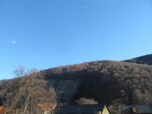 a hill with trees on it with houses on it at U Bogdana in Yaremche