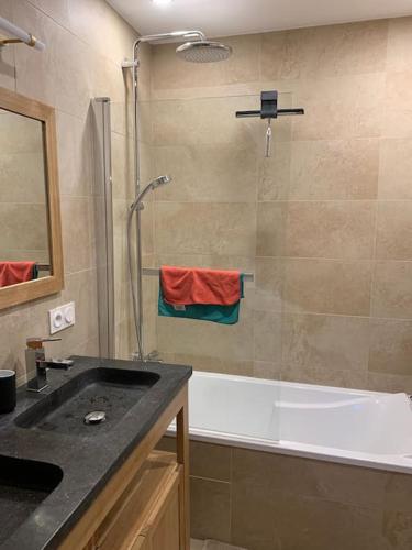 une salle de bain avec une douche, un lavabo et une baignoire dans l'établissement Superbe appartement au cœur de la vielle ville, à Annecy