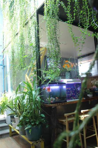Taman di luar Vania House HoChiMinh