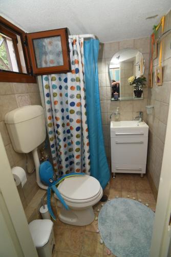 a bathroom with a toilet and a shower curtain at Villa Erato in Kineta