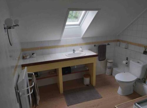 une salle de bain avec un lavabo et des toilettes et une fenêtre dans l'établissement Le Petit Parc, à Saint-Brice-de-Landelles