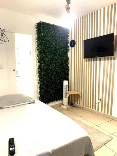- une chambre avec une haie verte sur le mur dans l'établissement Studio Cozy centre-ville, à Nîmes