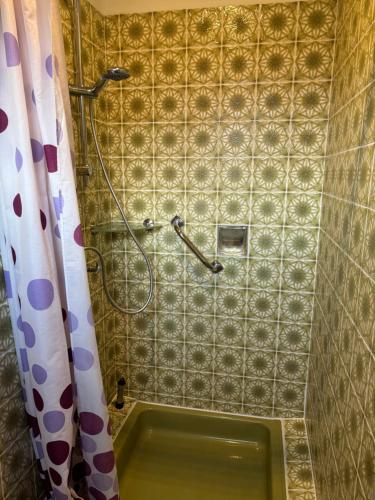 a shower in a bathroom with a tub at Budgethotel Stadtbett Wolfsburg in Wolfsburg