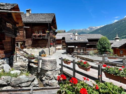 a group of buildings with flowers in front of them at Appartement Le Moulin - 1771 in Grimentz