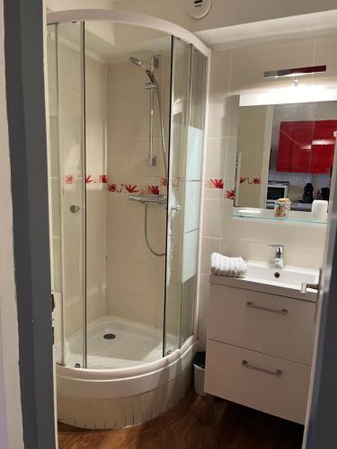 une salle de bain avec douche et lavabo dans l'établissement Studio aux pieds des montagnes, à Bourg-Saint-Maurice