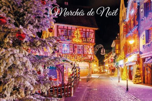 a christmas tree in front of a building with christmas lights at Les Iris Chambres d’hôte in Niedermorschwihr