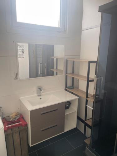 a bathroom with a sink and a mirror at Appt 56m2 en plein centre ville et mer a 200m in Berck-sur-Mer