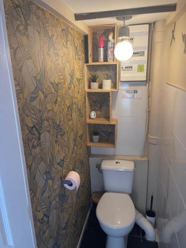 Elle comprend une petite salle de bains pourvue de toilettes et d'un papier peint. dans l'établissement Appt 56m2 en plein centre ville et mer a 200m, à Berck-sur-Mer