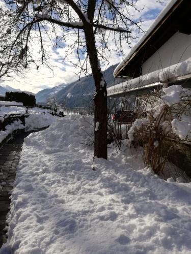 a snow covered yard with a tree and a building at InnApartment Top 4 in Prutz