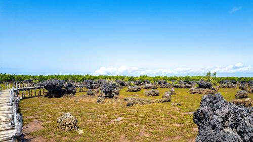 a field with rocks and a wooden fence at Shimoni Reef Lodge in Shimoni