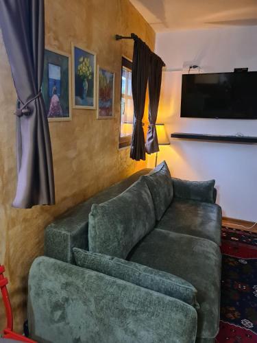 a living room with a green couch and a television at Zlatiborsko Srce 2 in Zlatibor