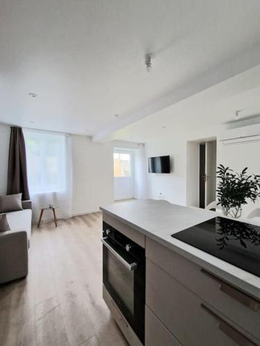 une cuisine avec une cuisinière et un comptoir dans l'établissement NEW Bel appartement avec jardin, à Puyoô