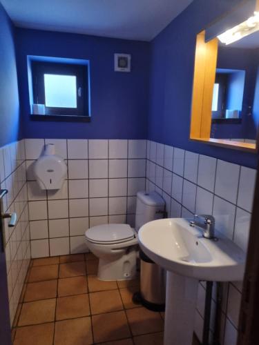 une salle de bain bleue avec des toilettes et un lavabo dans l'établissement Les jardins de l'Orri, à Planès