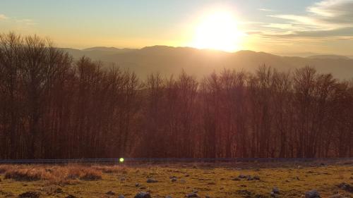 a sunset over a field with trees and the sun at La Cascina della Vachina in Poggio Bustone