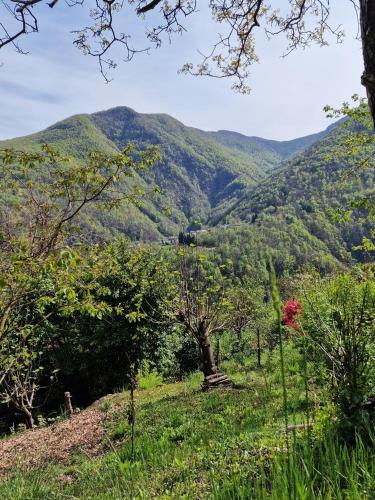 a view of a valley with mountains in the background at Casa Piccola in Falmenta