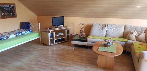 a living room with a couch and a tv at Ferienwohnung Karin in Eltmann