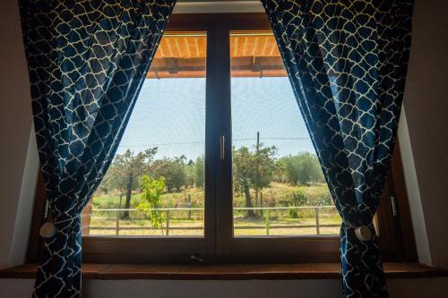 a window with blue curtains and a view of a field at Agriturismo Anfora della Vita in Massa Marittima