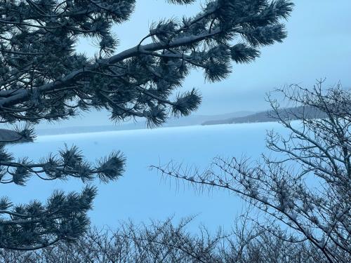 a view of a lake through the branches of trees at Lux Waterfront Private 4bd home in Saint John