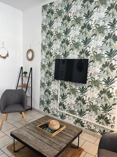 TV a/nebo společenská místnost v ubytování L'Oasis Arrageoise 45m2 4 personnes hyper centre