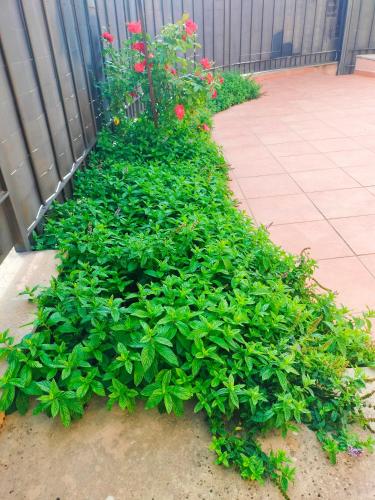 La Casa de Nerea en Arcas