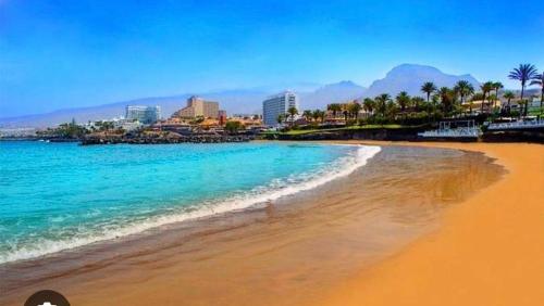 BLUEBIRD Luxury apartment in Las Americas