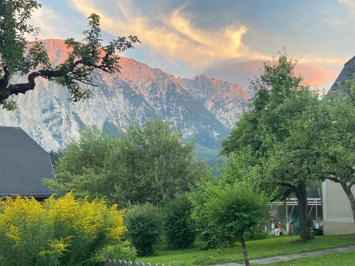 a view of a mountain from a yard with trees at Mountain Suite A10 in Tauplitz