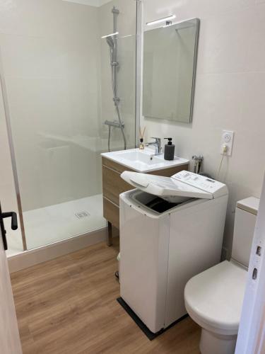 une salle de bain avec un lavabo, une douche et des toilettes dans l'établissement Appartement moderne proche commerces, à Brest