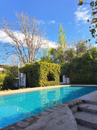 ein Swimmingpool mit grünem Efeu neben einem Haus in der Unterkunft Casona de coria in Ciudad Lujan de Cuyo