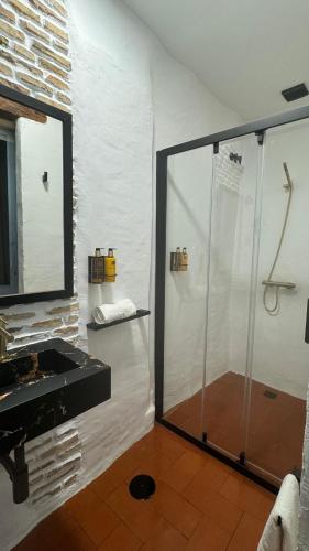 a bathroom with a shower with a sink and a mirror at Apartamentos Jerez Siglo XIX in Jerez de la Frontera