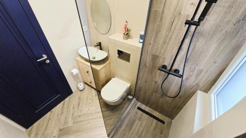 a small bathroom with a toilet and a mirror at Emily Apartment in Satu Mare