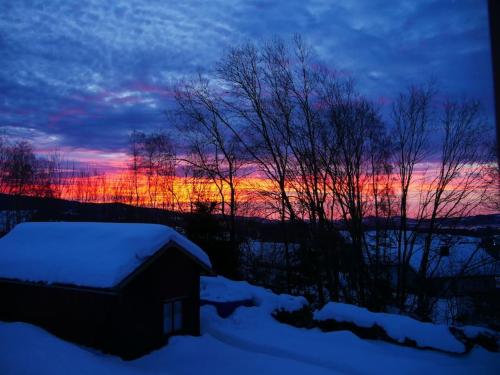 a sunset over a snowy field with a house and trees at WaldNur in Neureichenau