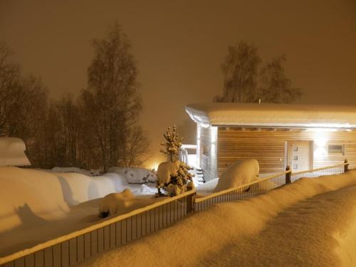 a building covered in snow at night at WaldNur in Neureichenau