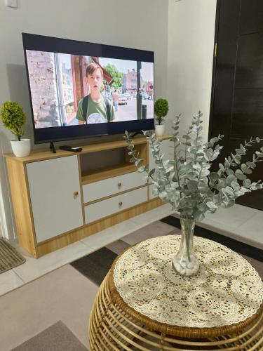 Televisyen dan/atau pusat hiburan di Rafaela Haven Condo