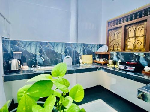a kitchen with a plant in front of a counter at Nimal's House in Dickwella