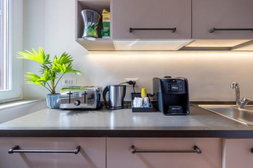 Kuchyň nebo kuchyňský kout v ubytování Superior Relais FCollection Temple View