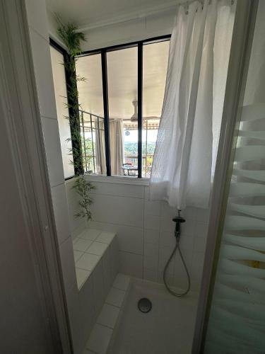 ein weißes Bad mit einem Fenster und einer Dusche in der Unterkunft Studio idéal pour Beauval in Montrichard