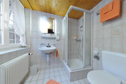 Vannituba majutusasutuses Gasthof Frohsinn