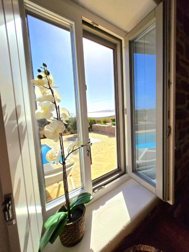 a flower in a vase sitting in front of a window at Paros Afrodite Luxury Villas in Aliki