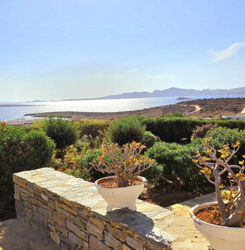 two potted plants sitting on a stone wall near the water at Paros Afrodite Luxury Villas in Aliki